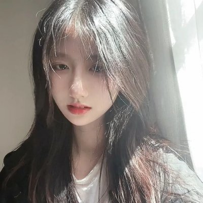 秘密使节